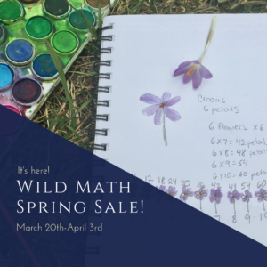 Wild Math Spring Sale!
